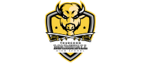 Marshall High School Logo